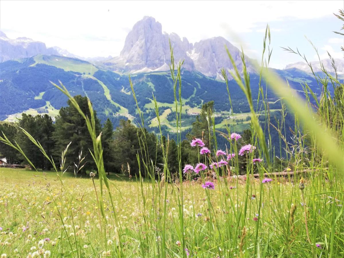 Hotel Oswald Selva di Val Gardena Exterior foto